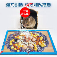 2025年度十款熱門粘鼠板產(chǎn)品榜 居家防鼠，值得入手的強(qiáng)力推薦